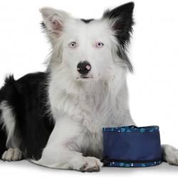 TOTTO - Vito Portable Dog Drinker, 3.79L Capacity, 15 x 10 cm, with Carabiner for Leash, Foldable with Zipper, Durable, Easy to Wash, Bone Pattern TOTTO - Vito Portable Dog Drinker, 3.79L Capacity, 15 x 10 cm, with Carabiner for Leash, Foldable with Zipper, Durable, Easy to Wash, Bone Pattern