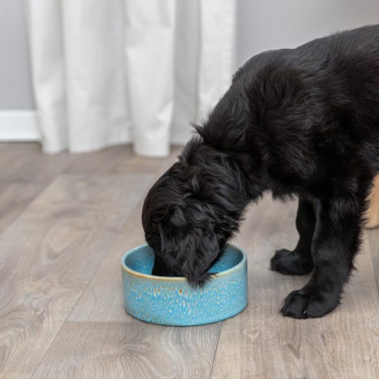 TRIXIE 25112 Ceramic Dog Bowl 400 ml, Blue Ceramic Bowl – Practical Feeding Bowl for Dogs Diameter 13 cm, Stable, Robust and Dishwasher Safe TRIXIE 25112 Ceramic Dog Bowl 400 ml, Blue Ceramic Bowl – Practical Feeding Bowl for Dogs Diameter 13 cm, Stable, Robust and Dishwasher Safe