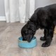 TRIXIE 25112 Ceramic Dog Bowl 400 ml, Blue Ceramic Bowl – Practical Feeding Bowl for Dogs Diameter 13 cm, Stable, Robust and Dishwasher Safe TRIXIE 25112 Ceramic Dog Bowl 400 ml, Blue Ceramic Bowl – Practical Feeding Bowl for Dogs Diameter 13 cm, Stable, Robust and Dishwasher Safe