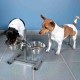 Trixie Dog Bar, 0.75 L, 5 cm, Up to 27 cm Height Adjustable Trixie Dog Bar, 0.75 L, 5 cm, Up to 27 cm Height Adjustable