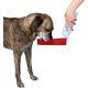 Trixie Plastic Bottle with Drinking Bowl Trixie Plastic Bottle with Drinking Bowl