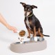 Ubbi Pet Feeding Bowls Set, One Elevated and One Flat Stainless Steel Bowl with Non-Slip Mat, Pet Feeder Bowls for Dogs or Cats, Ergonomic Design, Charcoal
