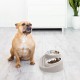Ubbi Pet Feeding Bowls Set, One Elevated and One Flat Stainless Steel Bowl with Non-Slip Mat, Pet Feeder Bowls for Dogs or Cats, Ergonomic Design, Charcoal