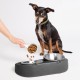 Ubbi Pet Feeding Bowls Set, One Elevated and One Flat Stainless Steel Bowl with Non-Slip Mat, Pet Feeder Bowls for Dogs or Cats, Ergonomic Design, Charcoal