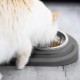 Ubbi Pet Feeding Bowls Set, One Elevated and One Flat Stainless Steel Bowl with Non-Slip Mat, Pet Feeder Bowls for Dogs or Cats, Ergonomic Design, Charcoal