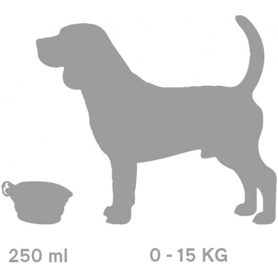 United Pets Leaf Bowl Design Travel Bowl for Dogs, Collapsible and Takeaway, Made of Non-Toxic Silicone, Pink, One Size United Pets Leaf Bowl Design Travel Bowl for Dogs, Collapsible and Takeaway, Made of Non-Toxic Silicone, Pink, One Size