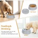 Water Bowl for Dogs, Splash Free, No Spill, Anti Choking Vehicle Water Bowl for Dogs, Cats, Puppies, Kittens, 1L Large Capacity (Grey)