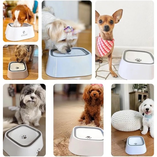 Water Bowl for Dogs, Splash-Free Pet Water Feeder - 1 Litre, Water Bowl for Dogs with Floating Plate, Drinking Bowl Dog Feeding Bowl On the Go for Pets, Indoors, Outdoors, Car - Grey Water Bowl for Dogs, Splash-Free Pet Water Feeder - 1 Litre, Water Bowl for Dogs with Floating Plate, Drinking Bowl Dog Feeding Bowl On the Go for Pets, Indoors, Outdoors, Car - Grey