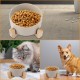 YAYODS Cat Feeding Bowl 850 ml - Dog Bowl Height with Bamboo Base - Ceramic Bowl Dog Bowl - Dishwasher Safe for Cats and Dogs (Grey) YAYODS Cat Feeding Bowl 850 ml - Dog Bowl Height with Bamboo Base - Ceramic Bowl Dog Bowl - Dishwasher Safe for Cats and Dogs (Grey)