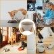 YAYODS Cat Feeding Bowl 850 ml - Dog Bowl Height with Bamboo Base - Ceramic Bowl Dog Bowl - Dishwasher Safe for Cats and Dogs (Grey) YAYODS Cat Feeding Bowl 850 ml - Dog Bowl Height with Bamboo Base - Ceramic Bowl Dog Bowl - Dishwasher Safe for Cats and Dogs (Grey)
