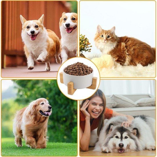 YAYODS Set of 2 850 ml Ceramic Dog Bowls - Raised Dog Bowl - Cat Bowl Set - Dog Bowls - Dog Bowl - Dog Bowl - Dog Bowl - Dog Bowl with Dog Bowl Stand for Cats and Dogs YAYODS Set of 2 850 ml Ceramic Dog Bowls - Raised Dog Bowl - Cat Bowl Set - Dog Bowls - Dog Bowl - Dog Bowl - Dog Bowl - Dog Bowl with Dog Bowl Stand for Cats and Dogs