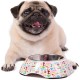 ZOOZ Pets Dog Bowls with Removable Stainless Steel Bowl - Officially Licensed Peanuts - Durable and Non-Toxic Material - 100% Melanin - Unique Designs - Various Sizes and Colours ZOOZ Pets Dog Bowls with Removable Stainless Steel Bowl - Officially Licensed Peanuts - Durable and Non-Toxic Material - 100% Melanin - Unique Designs - Various Sizes and Colours