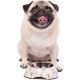 ZOOZ Pets Dog Bowls with Removable Stainless Steel Bowl - Officially Licensed Peanuts - Durable and Non-Toxic Material - 100% Melanin - Unique Designs - Various Sizes and Colours ZOOZ Pets Dog Bowls with Removable Stainless Steel Bowl - Officially Licensed Peanuts - Durable and Non-Toxic Material - 100% Melanin - Unique Designs - Various Sizes and Colours