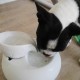 Zen'Light Toby Drinking Fountain for Cats and Dogs - Drinking Trough for Pets Made of Ceramic Enamel - Water Dispenser without Paint - Non-Toxic - Closed Water Cycle without Light - Height 18 cm Zen'Light Toby Drinking Fountain for Cats and Dogs - Drinking Trough for Pets Made of Ceramic Enamel - Water Dispenser without Paint - Non-Toxic - Closed Water Cycle without Light - Height 18 cm