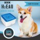 Zeus Dog Mini Fountain Zeus Dog Mini Fountain