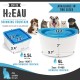 Zeus Dog Mini Fountain Zeus Dog Mini Fountain