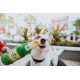 ZippyPaws Happy Hour Crusherz Drink - Crispy Water Bottle for Dogs - Rose, 1 Count (Pack of 1) ZippyPaws Happy Hour Crusherz Drink - Crispy Water Bottle for Dogs - Rose, 1 Count (Pack of 1)