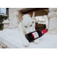 ZippyPaws Happy Hour Crusherz Drink - Crispy Water Bottle for Dogs - Rose, 1 Count (Pack of 1) ZippyPaws Happy Hour Crusherz Drink - Crispy Water Bottle for Dogs - Rose, 1 Count (Pack of 1)