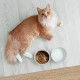 fanquare Set of 2 Dog Bowls Ceramic Double Feeding Bowls Ceramic Grey Marbling Dog Feeding Bowl Cats Feeding Bowl with Black Metal Frame 400 ml fanquare Set of 2 Dog Bowls Ceramic Double Feeding Bowls Ceramic Grey Marbling Dog Feeding Bowl Cats Feeding Bowl with Black Metal Frame 400 ml