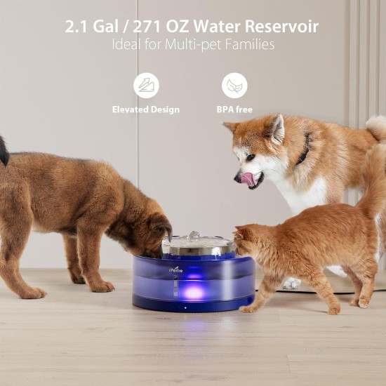 iPettie Cake Dog Water Fountain, 8L/2.1Gal Large Bowl for Large Dogs and Multi-Pet, Large Pet Water Fountain with BPA-Free Stainless Steel Bowls for Drinking and Wireless LED Pump, Easy to Use iPettie Cake Dog Water Fountain, 8L/2.1Gal Large Bowl for Large Dogs and Multi-Pet, Large Pet Water Fountain with BPA-Free Stainless Steel Bowls for Drinking and Wireless LED Pump, Easy to Use