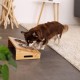 lionto Raised Bamboo Dog Bowl, 35 x 20 x 10 cm, Double Feeding Bowl for Dogs and Cats, 2 Dishwasher-Safe Stainless Steel Bowls Diameter 14 cm, Capacity per Bowl 250 ml, Non-Slip and Gentle on the lionto Raised Bamboo Dog Bowl, 35 x 20 x 10 cm, Double Feeding Bowl for Dogs and Cats, 2 Dishwasher-Safe Stainless Steel Bowls Diameter 14 cm, Capacity per Bowl 250 ml, Non-Slip and Gentle on the