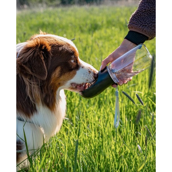 lionto Water Bottle for Dogs and Cats, 350 ml, Dog Drinking Bottle, Portable and Leak-Proof, Made of Food-Grade ABS Plastic with Locking, Dishwasher Safe, Perfect for Travel, Grey lionto Water Bottle for Dogs and Cats, 350 ml, Dog Drinking Bottle, Portable and Leak-Proof, Made of Food-Grade ABS Plastic with Locking, Dishwasher Safe, Perfect for Travel, Grey