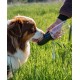 lionto Water Bottle for Dogs and Cats, 350 ml, Dog Drinking Bottle, Portable and Leak-Proof, Made of Food-Grade ABS Plastic with Locking, Dishwasher Safe, Perfect for Travel, Grey lionto Water Bottle for Dogs and Cats, 350 ml, Dog Drinking Bottle, Portable and Leak-Proof, Made of Food-Grade ABS Plastic with Locking, Dishwasher Safe, Perfect for Travel, Grey