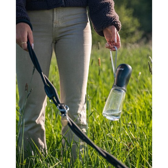 lionto Water Bottle for Dogs and Cats, 350 ml, Dog Drinking Bottle, Portable and Leak-Proof, Made of Food-Grade ABS Plastic with Locking, Dishwasher Safe, Perfect for Travel, Grey lionto Water Bottle for Dogs and Cats, 350 ml, Dog Drinking Bottle, Portable and Leak-Proof, Made of Food-Grade ABS Plastic with Locking, Dishwasher Safe, Perfect for Travel, Grey