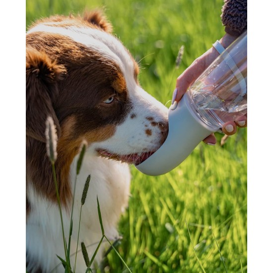 lionto Water Bottle for Dogs and Cats, 350 ml, Dog Drinking Bottle, Portable and Leak-Proof, Made of Food-Grade ABS Plastic with Locking, Dishwasher Safe, Perfect for Travel, Grey lionto Water Bottle for Dogs and Cats, 350 ml, Dog Drinking Bottle, Portable and Leak-Proof, Made of Food-Grade ABS Plastic with Locking, Dishwasher Safe, Perfect for Travel, Grey