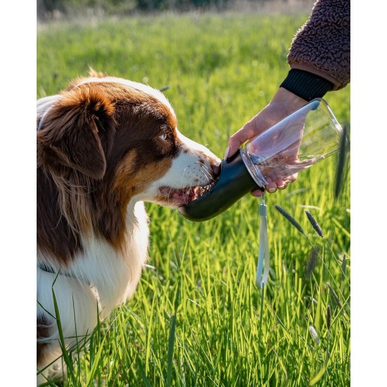 lionto Water Bottle for Dogs and Cats, 500 ml, Dog Drinking Bottle, Portable and Leak-Proof, Made of Food-Grade ABS Plastic with Locking, Dishwasher Safe, Perfect for Travel, Grey lionto Water Bottle for Dogs and Cats, 500 ml, Dog Drinking Bottle, Portable and Leak-Proof, Made of Food-Grade ABS Plastic with Locking, Dishwasher Safe, Perfect for Travel, Grey