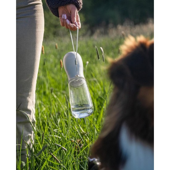 lionto Water Bottle for Dogs and Cats, 500 ml, Dog Drinking Bottle, Portable and Leak-Proof, Made of Food-Grade ABS Plastic with Locking, Dishwasher Safe, Perfect for Travel, Grey lionto Water Bottle for Dogs and Cats, 500 ml, Dog Drinking Bottle, Portable and Leak-Proof, Made of Food-Grade ABS Plastic with Locking, Dishwasher Safe, Perfect for Travel, Grey