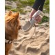 lionto Water Bottle for Dogs and Cats, 500 ml, Dog Drinking Bottle, Portable and Leak-Proof, Made of Food-Grade ABS Plastic with Locking, Dishwasher Safe, Perfect for Travel, Grey lionto Water Bottle for Dogs and Cats, 500 ml, Dog Drinking Bottle, Portable and Leak-Proof, Made of Food-Grade ABS Plastic with Locking, Dishwasher Safe, Perfect for Travel, Grey