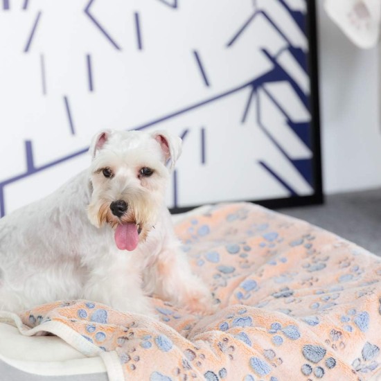 Allisandro Dog Blanket Fluffy Blanket 100 x 80 cm Super Soft and Warm Cat Blanket Cute Claw Print Large Coffee, 80x60cm Allisandro Dog Blanket Fluffy Blanket 100 x 80 cm Super Soft and Warm Cat Blanket Cute Claw Print Large Coffee, 80x60cm
