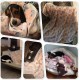 Allisandro Dog Blanket Fluffy Blanket 100 x 80 cm Super Soft and Warm Cat Blanket Cute Claw Print Large Coffee, 80x60cm Allisandro Dog Blanket Fluffy Blanket 100 x 80 cm Super Soft and Warm Cat Blanket Cute Claw Print Large Coffee, 80x60cm