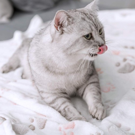 Allisandro® Super Soft Warm & Soft Pet Blanket Cat Blanket Fleece Blanket Pet Sleeping Blanket, 100x80cm Allisandro® Super Soft Warm & Soft Pet Blanket Cat Blanket Fleece Blanket Pet Sleeping Blanket, 100x80cm