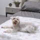 Allisandro® Super Soft Warm & Soft Pet Blanket Cat Blanket Fleece Blanket Pet Sleeping Blanket, 100x80cm Allisandro® Super Soft Warm & Soft Pet Blanket Cat Blanket Fleece Blanket Pet Sleeping Blanket, 100x80cm