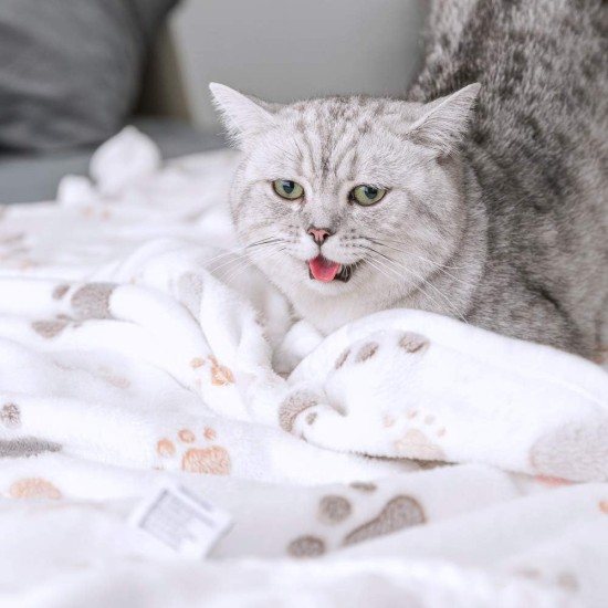Allisandro® Super Soft Warm & Soft Pet Blanket Cat Blanket Fleece Blanket Pet Sleeping Blanket, 100x80cm Allisandro® Super Soft Warm & Soft Pet Blanket Cat Blanket Fleece Blanket Pet Sleeping Blanket, 100x80cm