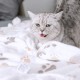 Allisandro® Super Soft Warm & Soft Pet Blanket Cat Blanket Fleece Blanket Pet Sleeping Blanket, 100x80cm Allisandro® Super Soft Warm & Soft Pet Blanket Cat Blanket Fleece Blanket Pet Sleeping Blanket, 100x80cm