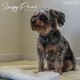 Ancol Self Heating Dog Cat Bed Heating Pad