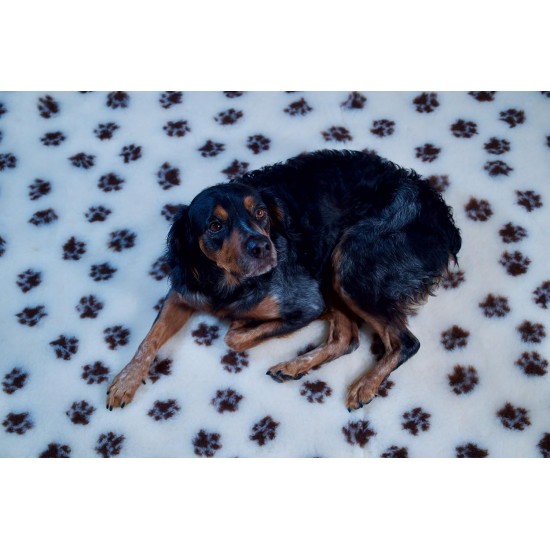 AnimoConcept Essential Breeder Rug for Dogs AnimoConcept Essential Breeder Rug for Dogs