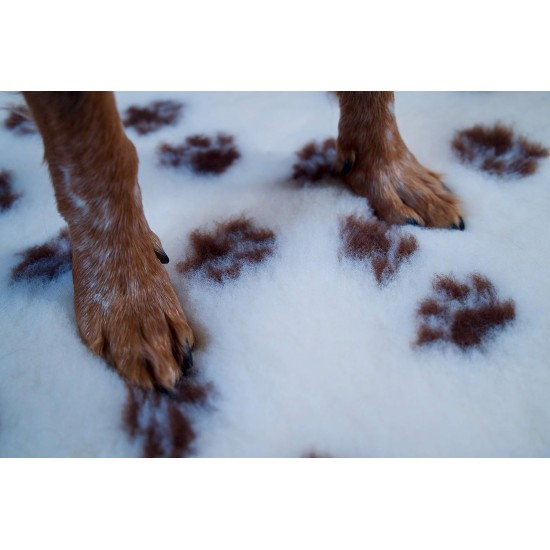 AnimoConcept Essential Breeder Rug for Dogs AnimoConcept Essential Breeder Rug for Dogs