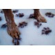 AnimoConcept Essential Breeder Rug for Dogs AnimoConcept Essential Breeder Rug for Dogs
