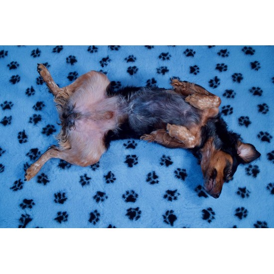 AnimoConcept Essentielles Teppich vom Züchter zum Trockenbett für Hunde AnimoConcept Essentielles Teppich vom Züchter zum Trockenbett für Hunde