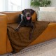 Best Friends by Sheri Calming Shag Dog Blanket for Large Dogs, Waterproof Coating, Taupe, 60" x 80" Best Friends by Sheri Calming Shag Dog Blanket for Large Dogs, Waterproof Coating, Taupe, 60" x 80"
