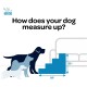 Best Pet Supplies Foldable Foam Pet Stairs for Small Dogs and Cats, Portable Ramp Stairs for Couch, Sofa and Bunk Bed Climbing, Non-Slip Balanced Indoor Support, Paw Proof - Best Pet Supplies Foldable Foam Pet Stairs for Small Dogs and Cats, Portable Ramp Stairs for Couch, Sofa and Bunk Bed Climbing, Non-Slip Balanced Indoor Support, Paw Proof -