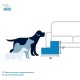 Best Pet Supplies Foldable Foam Pet Stairs for Small Dogs and Cats, Portable Ramp Stairs for Couch, Sofa and Bunk Bed Climbing, Non-Slip Balanced Indoor Support, Paw Proof - Best Pet Supplies Foldable Foam Pet Stairs for Small Dogs and Cats, Portable Ramp Stairs for Couch, Sofa and Bunk Bed Climbing, Non-Slip Balanced Indoor Support, Paw Proof -
