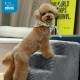 Best Pet Supplies Foldable Foam Pet Stairs for Small Dogs and Cats, Portable Ramp Stairs for Couch, Sofa and Bunk Bed Climbing, Non-Slip Balanced Indoor Support, Paw Proof - Best Pet Supplies Foldable Foam Pet Stairs for Small Dogs and Cats, Portable Ramp Stairs for Couch, Sofa and Bunk Bed Climbing, Non-Slip Balanced Indoor Support, Paw Proof -