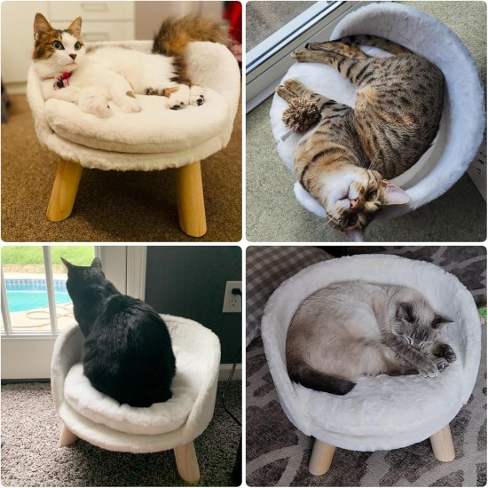 BingoPaw Raised Cat Sofa, Dog Sofa, for Cats, Puppy, Dogs, Avant-Garde Style Pet Sofa, Cat Stool with Wooden Legs, Sturdy Structure Cat Bed with Comfortable Cushion, 40/60 cm, White BingoPaw Raised Cat Sofa, Dog Sofa, for Cats, Puppy, Dogs, Avant-Garde Style Pet Sofa, Cat Stool with Wooden Legs, Sturdy Structure Cat Bed with Comfortable Cushion, 40/60 cm, White