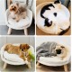 BingoPaw Raised Cat Sofa, Dog Sofa, for Cats, Puppy, Dogs, Avant-Garde Style Pet Sofa, Cat Stool with Wooden Legs, Sturdy Structure Cat Bed with Comfortable Cushion, 40/60 cm, White BingoPaw Raised Cat Sofa, Dog Sofa, for Cats, Puppy, Dogs, Avant-Garde Style Pet Sofa, Cat Stool with Wooden Legs, Sturdy Structure Cat Bed with Comfortable Cushion, 40/60 cm, White