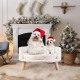 BingoPaw Raised Cat Sofa, Dog Sofa, for Cats, Puppy, Dogs, Avant-Garde Style Pet Sofa, Cat Stool with Wooden Legs, Sturdy Structure Cat Bed with Comfortable Cushion, 40/60 cm, White BingoPaw Raised Cat Sofa, Dog Sofa, for Cats, Puppy, Dogs, Avant-Garde Style Pet Sofa, Cat Stool with Wooden Legs, Sturdy Structure Cat Bed with Comfortable Cushion, 40/60 cm, White